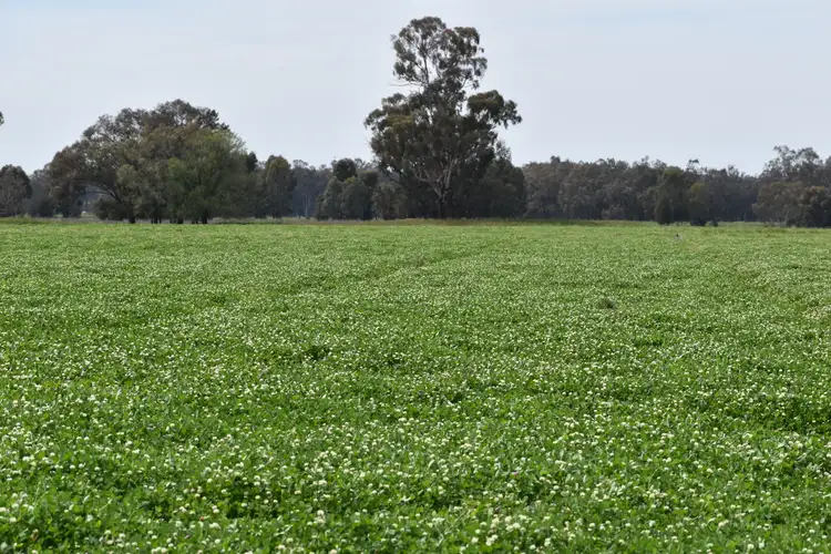 Second view of Homely rural property listing, 2071 Yarrabandai Road, Bedgerabong NSW 2871