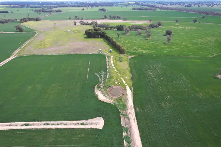 Fifth view of Homely rural property listing, 2071 Yarrabandai Road, Bedgerabong NSW 2871