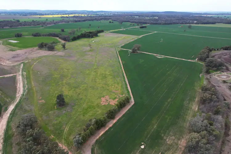 Seventh view of Homely rural property listing, 2071 Yarrabandai Road, Bedgerabong NSW 2871