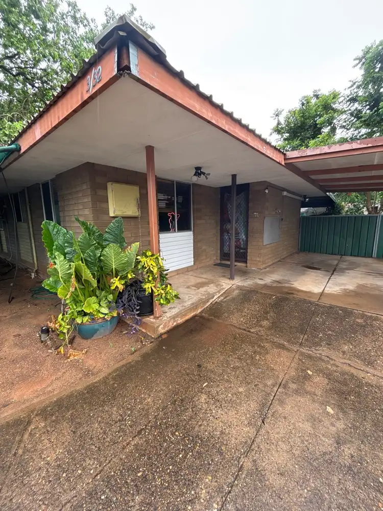 32 River Fig