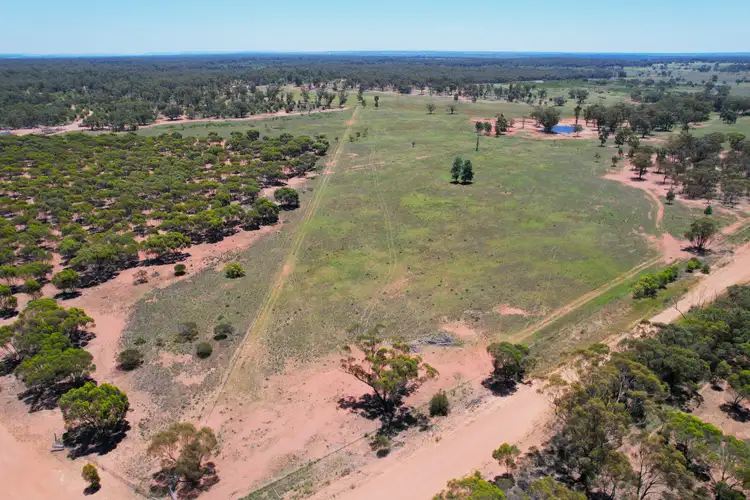 Second view of Homely rural property listing, "Mottlecah" 1017 Wilga Ridge Road, Fifield NSW 2875