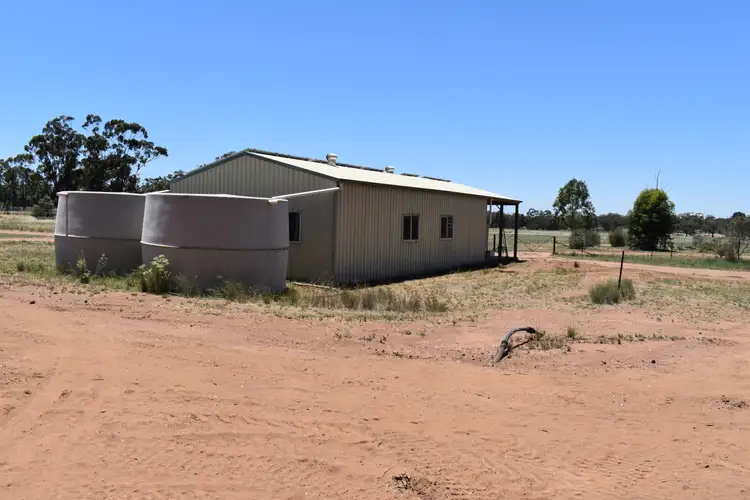 Fifth view of Homely rural property listing, "Mottlecah" 1017 Wilga Ridge Road, Fifield NSW 2875