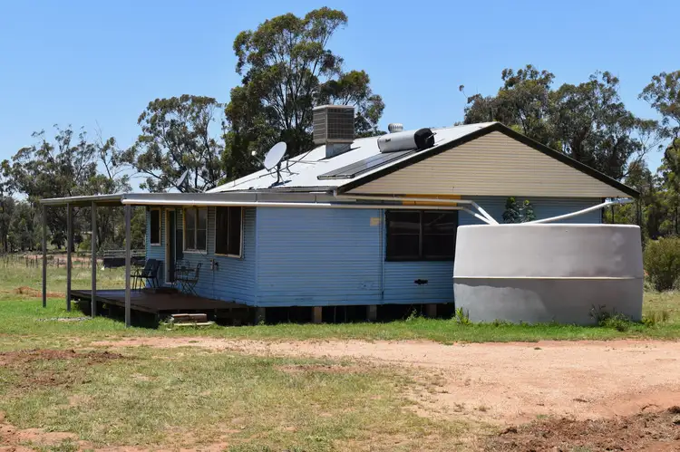 Seventh view of Homely rural property listing, "Mottlecah" 1017 Wilga Ridge Road, Fifield NSW 2875