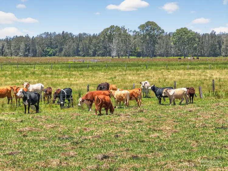 Fifth view of Homely rural property listing, 18 Clovernook Drive, Cundletown NSW 2430