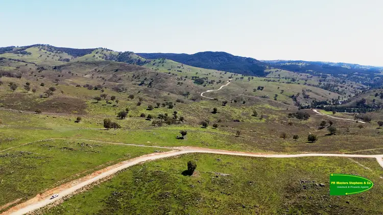 Fifth view of Homely rural property listing, 2663 The Bridle Track, Bruinbun NSW 2795