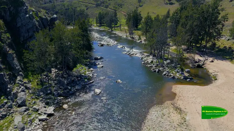 Seventh view of Homely rural property listing, 2663 The Bridle Track, Bruinbun NSW 2795
