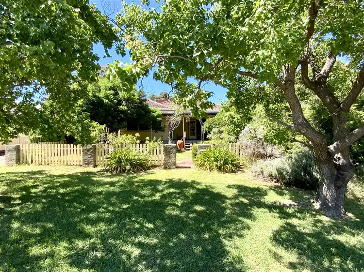 19 Oxford Street, Forbes NSW 2871