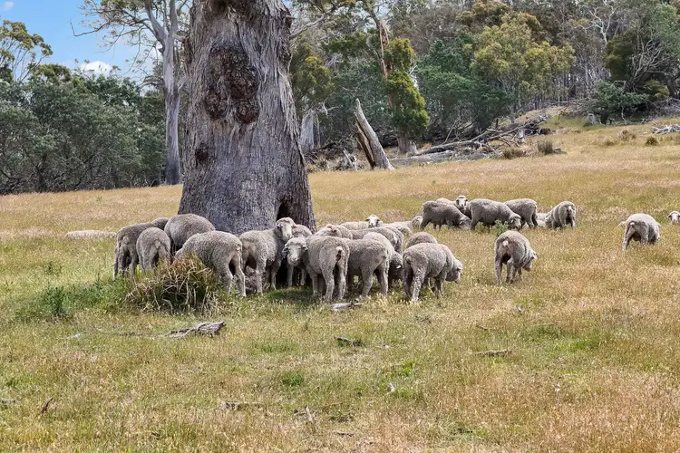 "Kheme Hill" Eastwood Road, York Plains TAS 7120