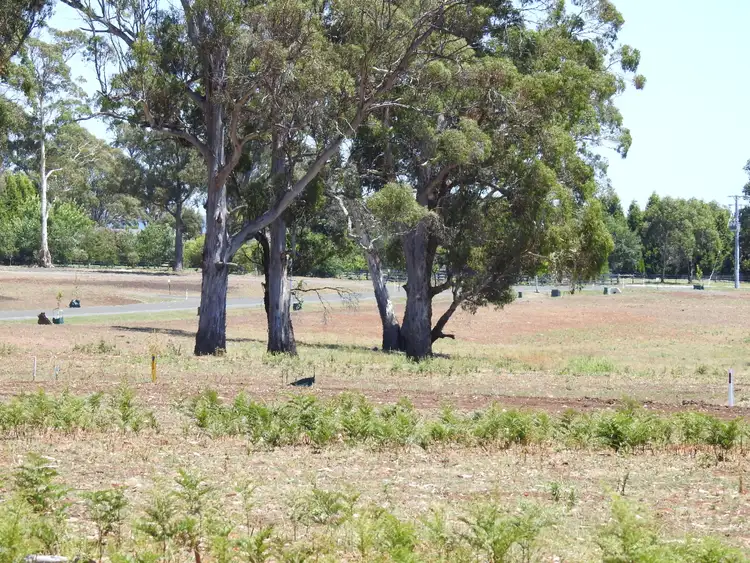 Sixth view of Homely land listing, 5A Eiger Court, Grindelwald TAS 7277