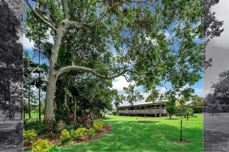 42 Monaro Close, Kuranda QLD 4881