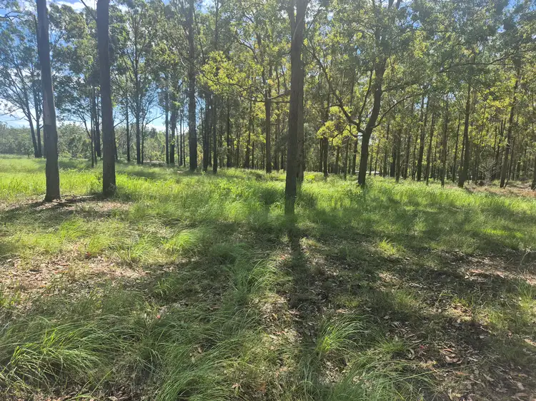 Fourth view of Homely rural property listing, Lot 1 Anita Road, Blackbutt QLD 4314