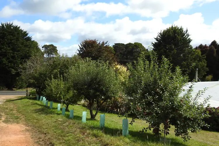 Third view of Homely house listing, 1409 Trowutta Road, Edith Creek TAS 7330