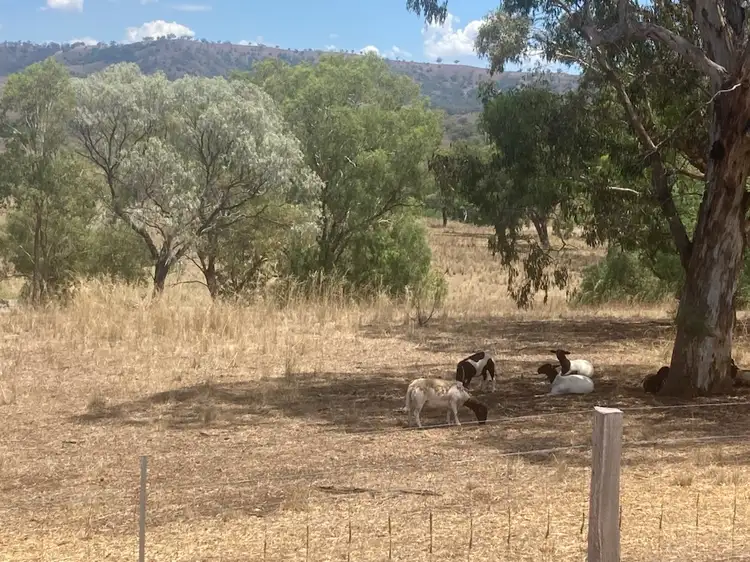 Main view of Homely land listing, LOT 70 High Street, Bunnan NSW 2337