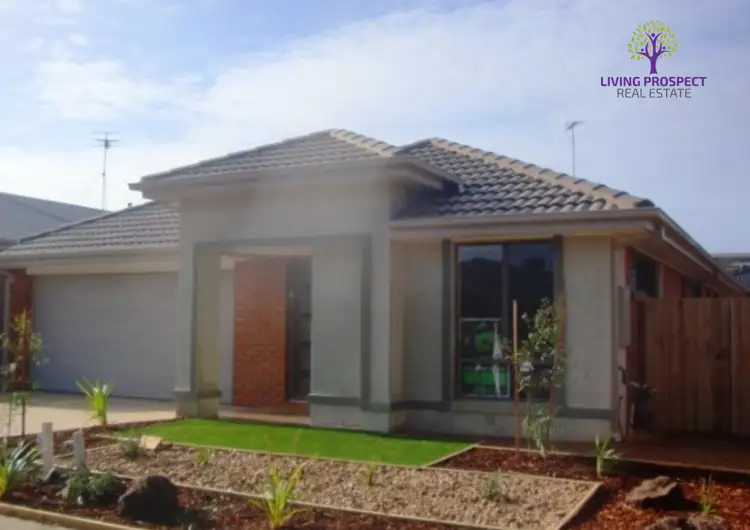 6 Carter Road
