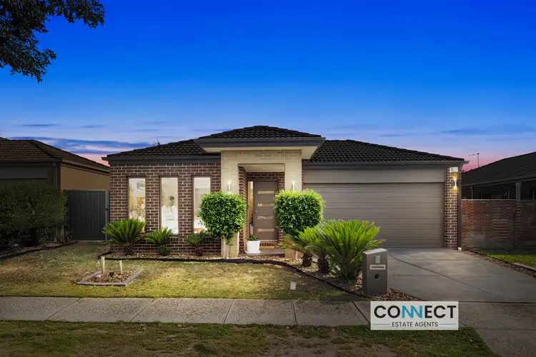 6 Ciliata Street, Cranbourne North VIC 3977