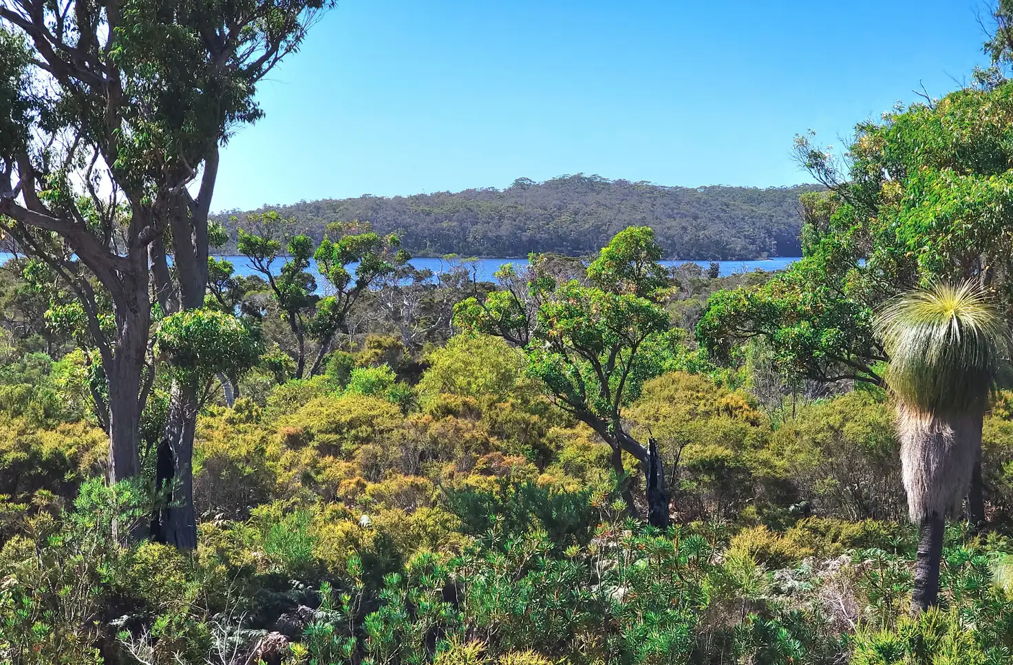 Main view of Homely land listing, 59 Karri Street, Walpole WA 6398