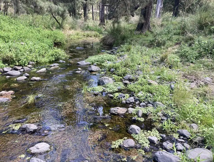 Main view of Homely rural property listing, LOT 23, 23 Pembroke Road, Cassilis NSW 2329