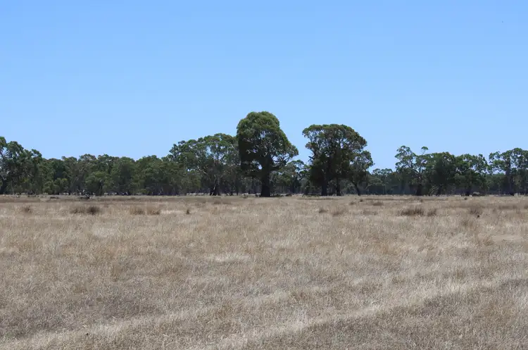 Seventh view of Homely rural property listing, 535 Grub Lane, Patyah VIC 3318