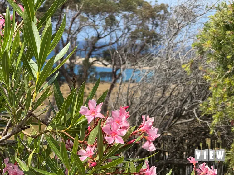 Fourth view of Homely house listing, 18025 Tasman Highway, Bicheno TAS 7215