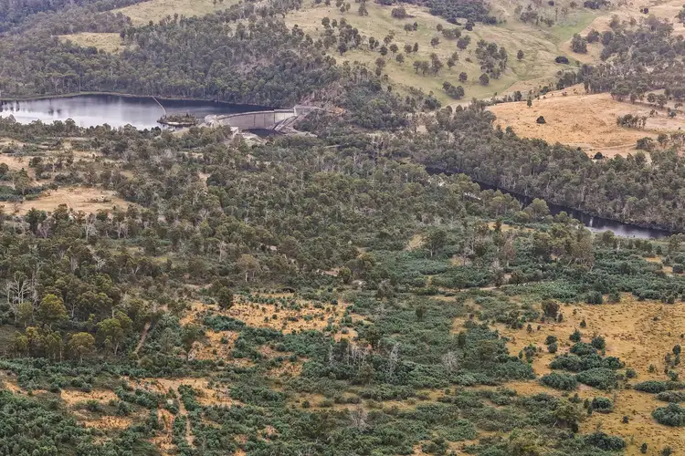 Sixth view of Homely rural property listing, 867 Dawson Road, Ouse TAS 7140