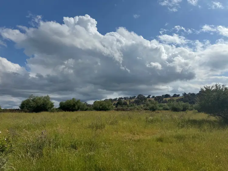 Fifth view of Homely land listing, 1190 Mansfield Woods Point Road, Piries VIC 3723