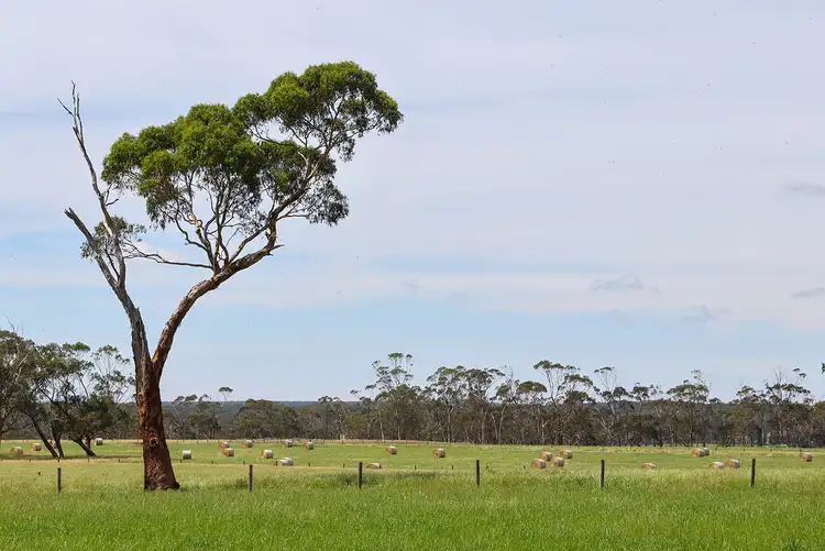 Third view of Homely rural property listing, 211 Rollos Road, Panmure VIC 3265