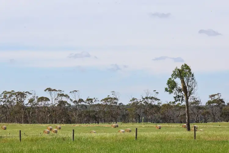 Fourth view of Homely rural property listing, 211 Rollos Road, Panmure VIC 3265