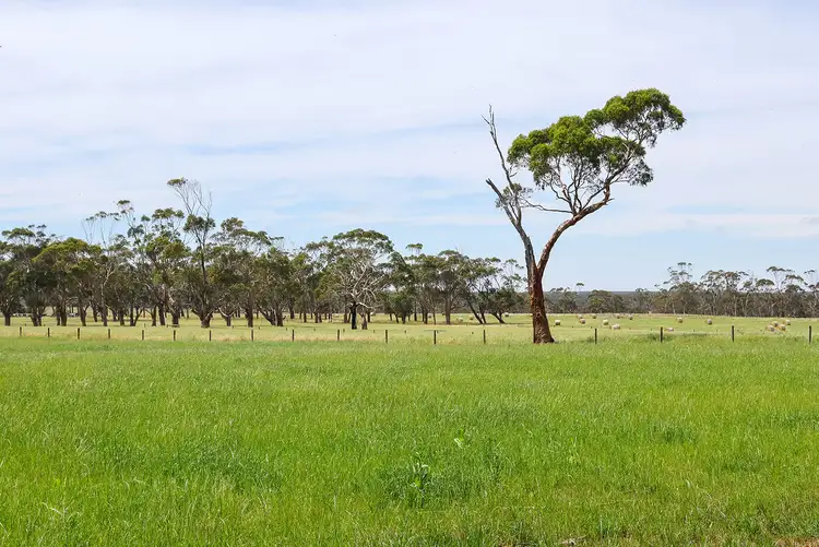 Sixth view of Homely rural property listing, 211 Rollos Road, Panmure VIC 3265