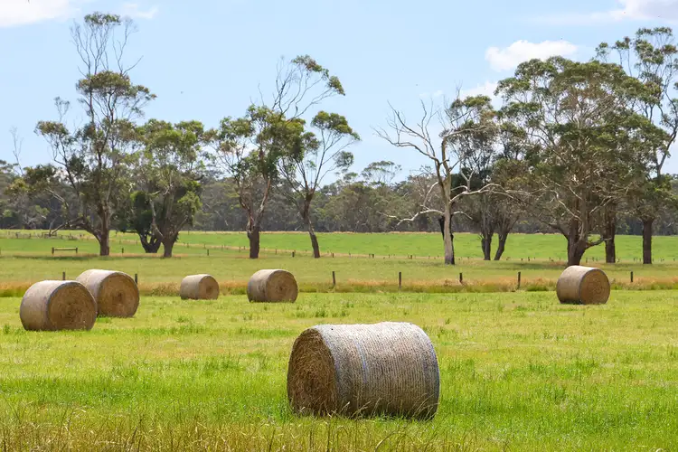 Seventh view of Homely rural property listing, 211 Rollos Road, Panmure VIC 3265