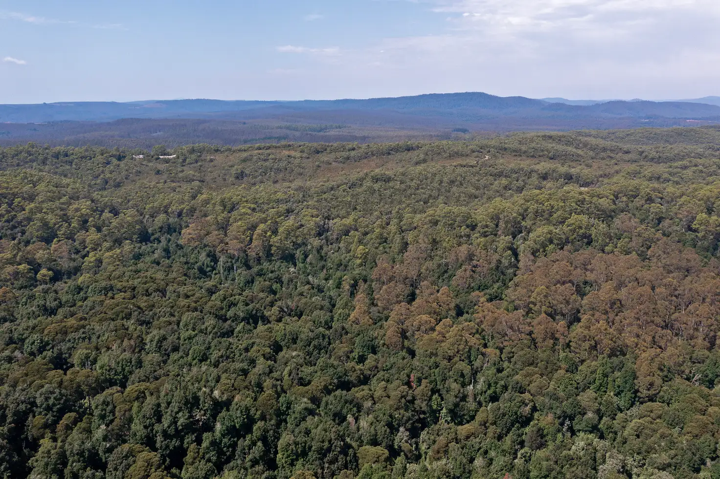 Main view of Homely land listing, - Myalla Road, Meunna TAS 7325