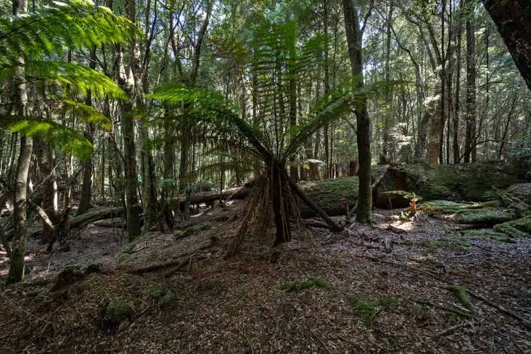 Third view of Homely land listing, - Myalla Road, Meunna TAS 7325