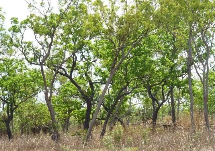 Second view of Homely land listing, 235 Colton Road, Acacia Hills NT 822