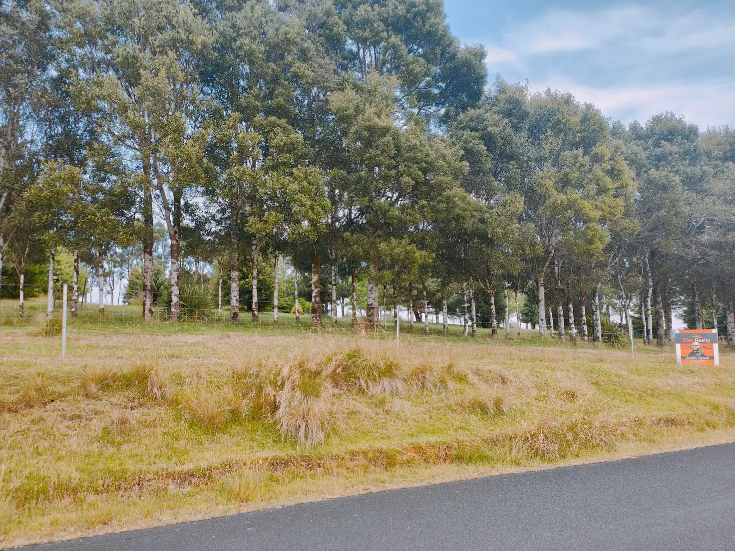 Main view of Homely land listing, 8 Mount Road, Waratah TAS 7321