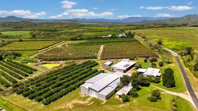 119 McLeod Road, Mutchilba QLD 4872