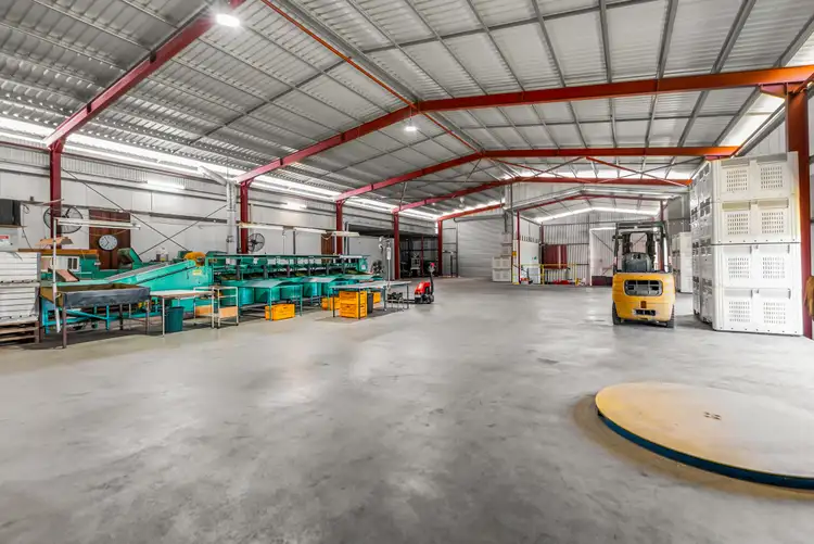 Fifth view of Homely rural property listing, 119 McLeod Road, Mutchilba QLD 4872