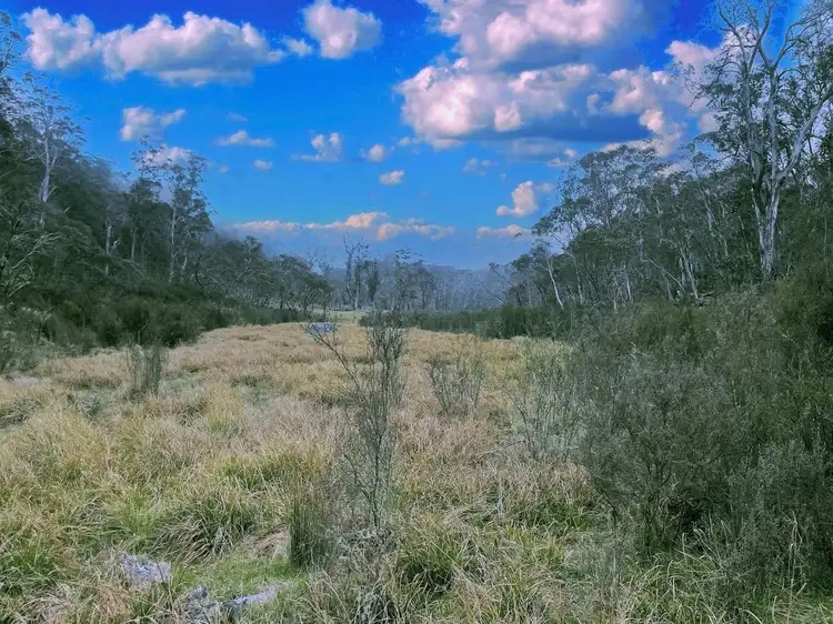 Fifth view of Homely rural property listing, LOT 1, 1 Greenlands Road, Nimmitabel NSW 2631