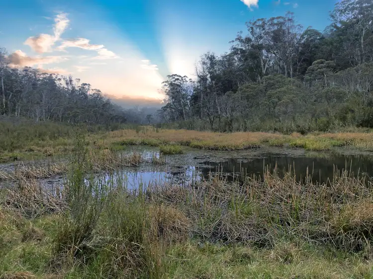 Sixth view of Homely rural property listing, LOT 1, 1 Greenlands Road, Nimmitabel NSW 2631
