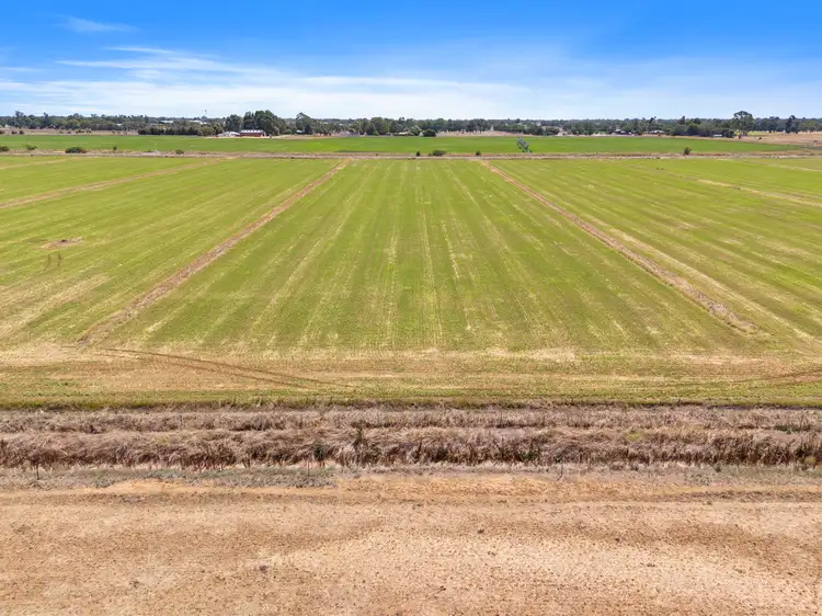 Sixth view of Homely rural property listing, 1372 Sandmount Road, Katunga VIC 3640
