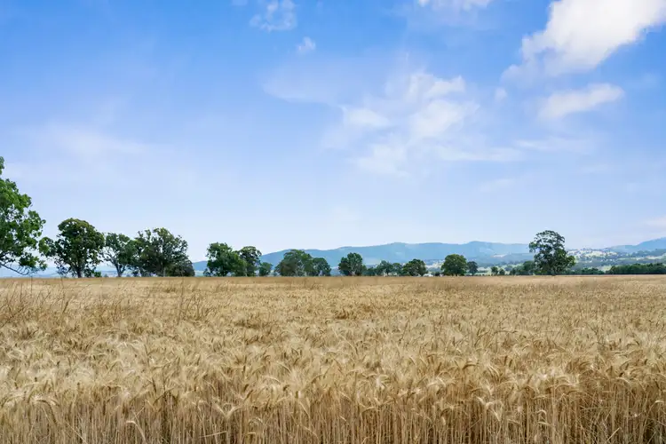 Third view of Homely rural property listing, Lot 3 Long Lane, Barwite VIC 3722