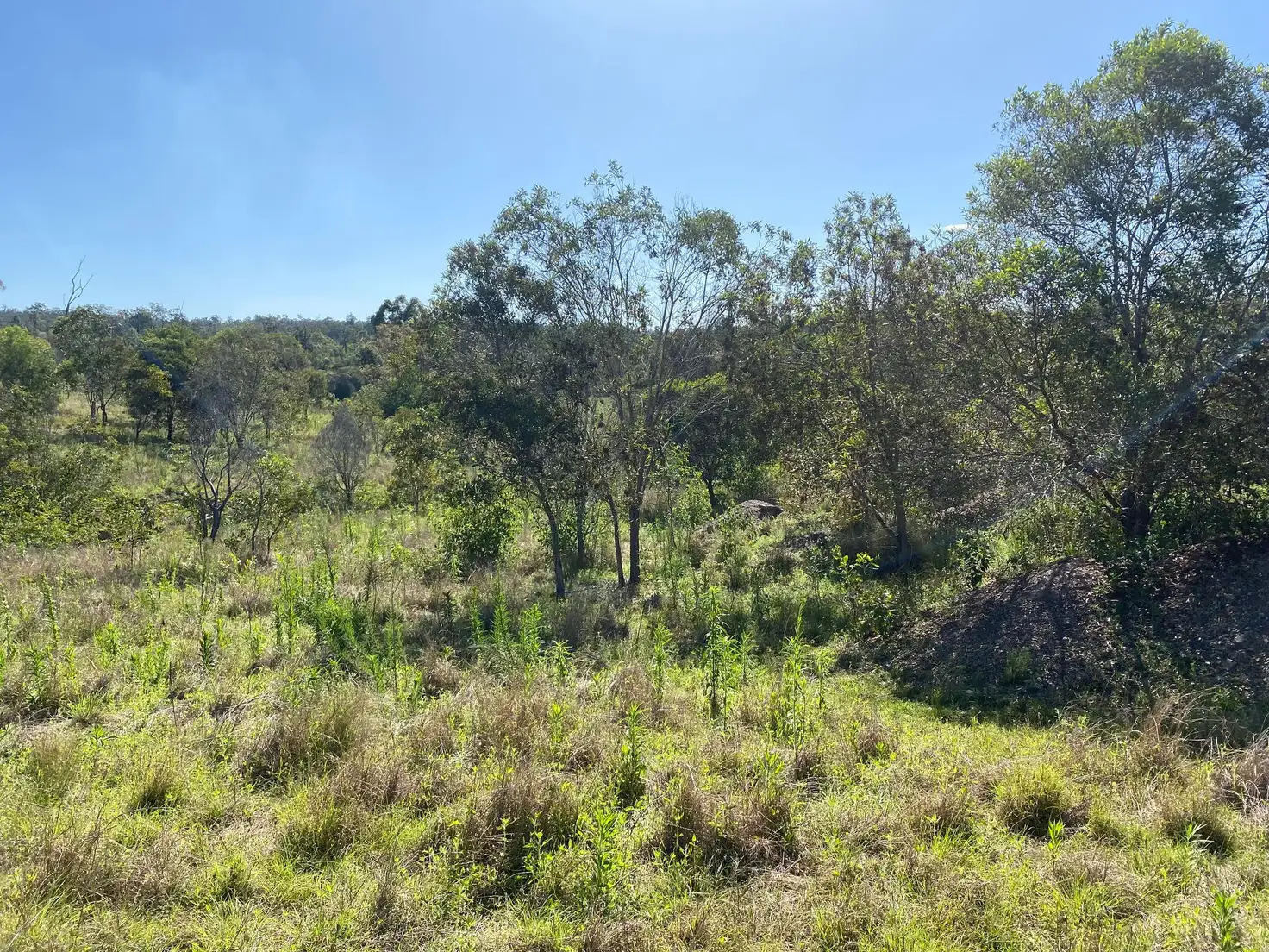 Main view of Homely land listing, LOT 163 Berthelsens Road, Booyal QLD 4671