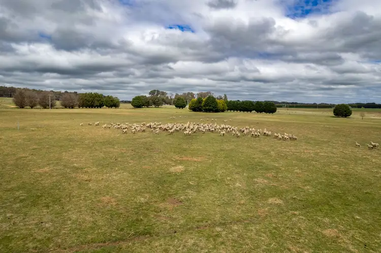 Sixth view of Homely land listing, 862 kialla road, Crookwell NSW 2583