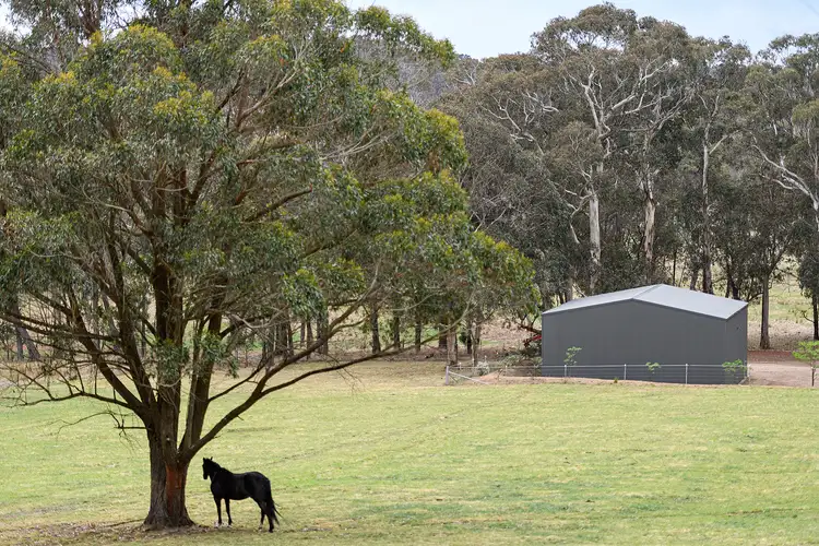 Sixth view of Homely rural property listing, 244 Sallys Corner Road, Exeter NSW 2579