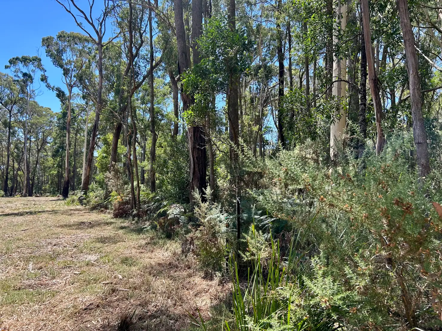 Main view of Homely land listing, 18 Golden Point Road, Trentham VIC 3458