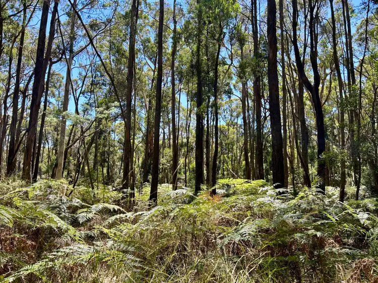 Third view of Homely land listing, 18 Golden Point Road, Trentham VIC 3458