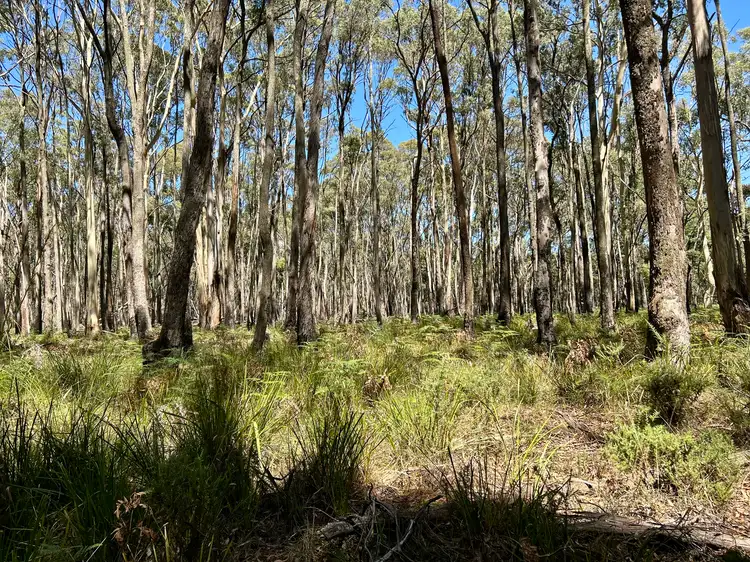 Fourth view of Homely land listing, 18 Golden Point Road, Trentham VIC 3458
