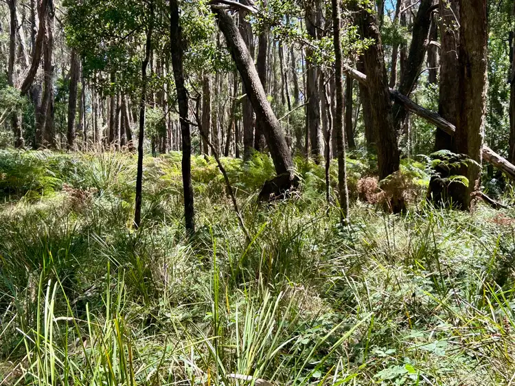 Fifth view of Homely land listing, 18 Golden Point Road, Trentham VIC 3458