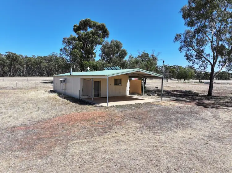 Main view of Homely rural property listing, 243 Wet Lane, Inglewood VIC 3517