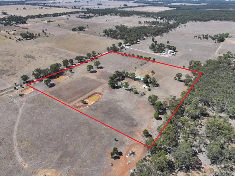 Fourth view of Homely rural property listing, 243 Wet Lane, Inglewood VIC 3517