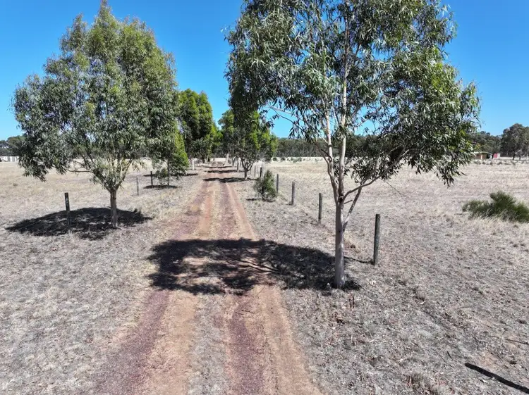 Fifth view of Homely rural property listing, 243 Wet Lane, Inglewood VIC 3517