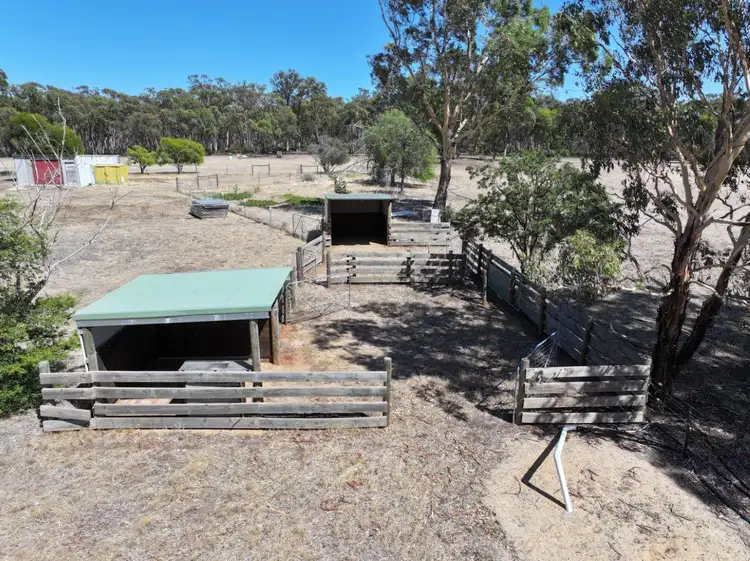 Seventh view of Homely rural property listing, 243 Wet Lane, Inglewood VIC 3517